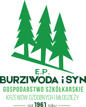 logo_glowna